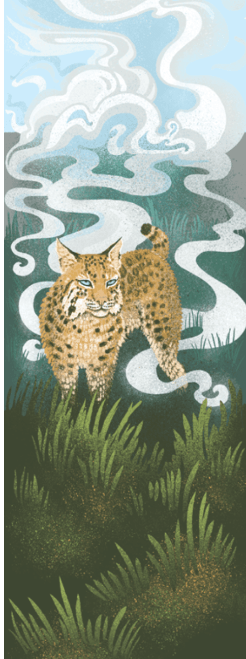 Point Reyes Myriorama card 2