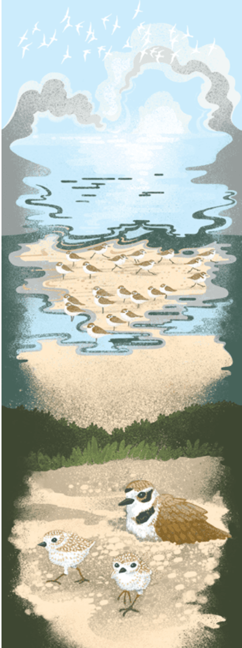 Point Reyes Myriorama card 1