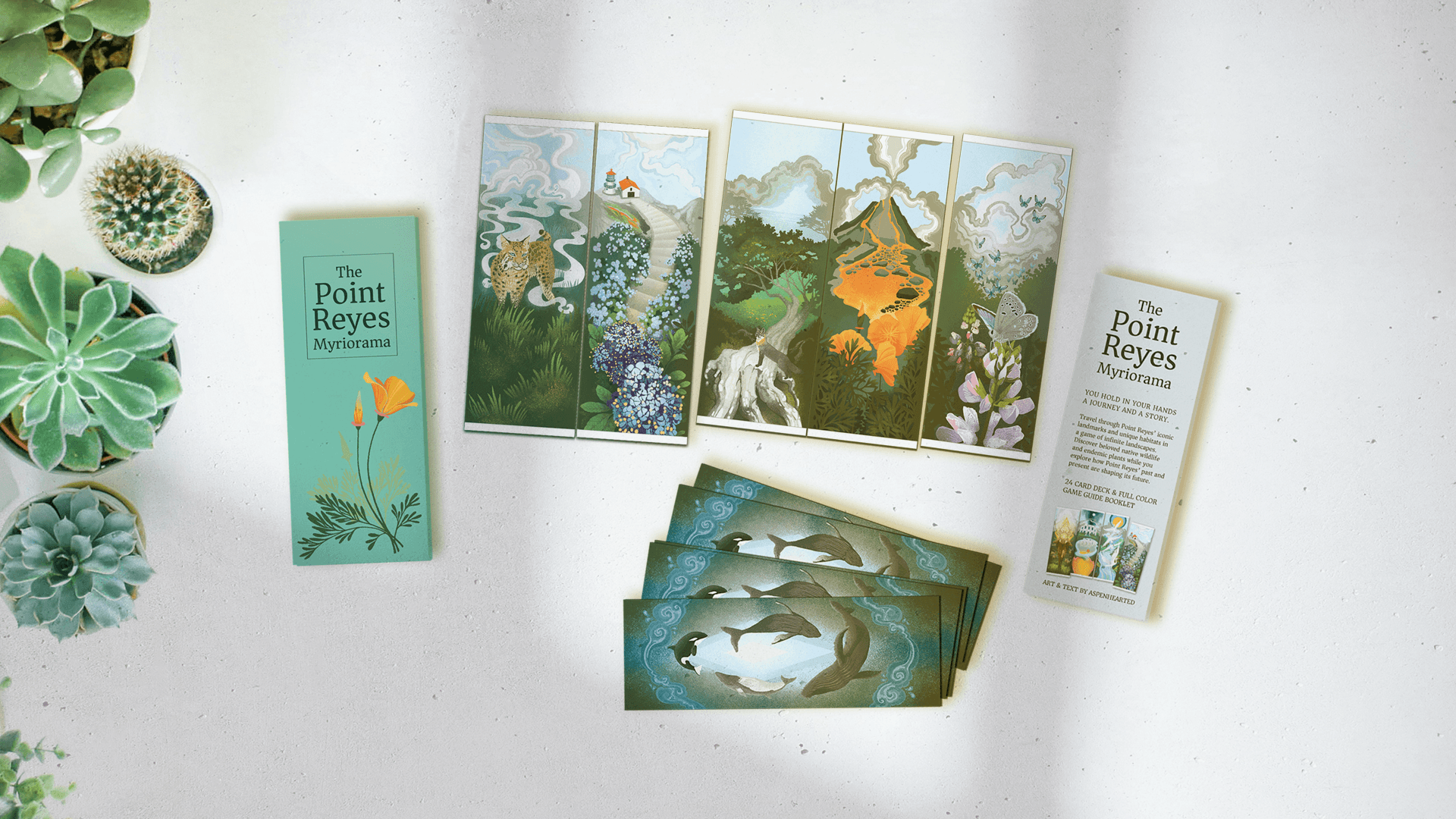 Point Reyes Myriorama cards