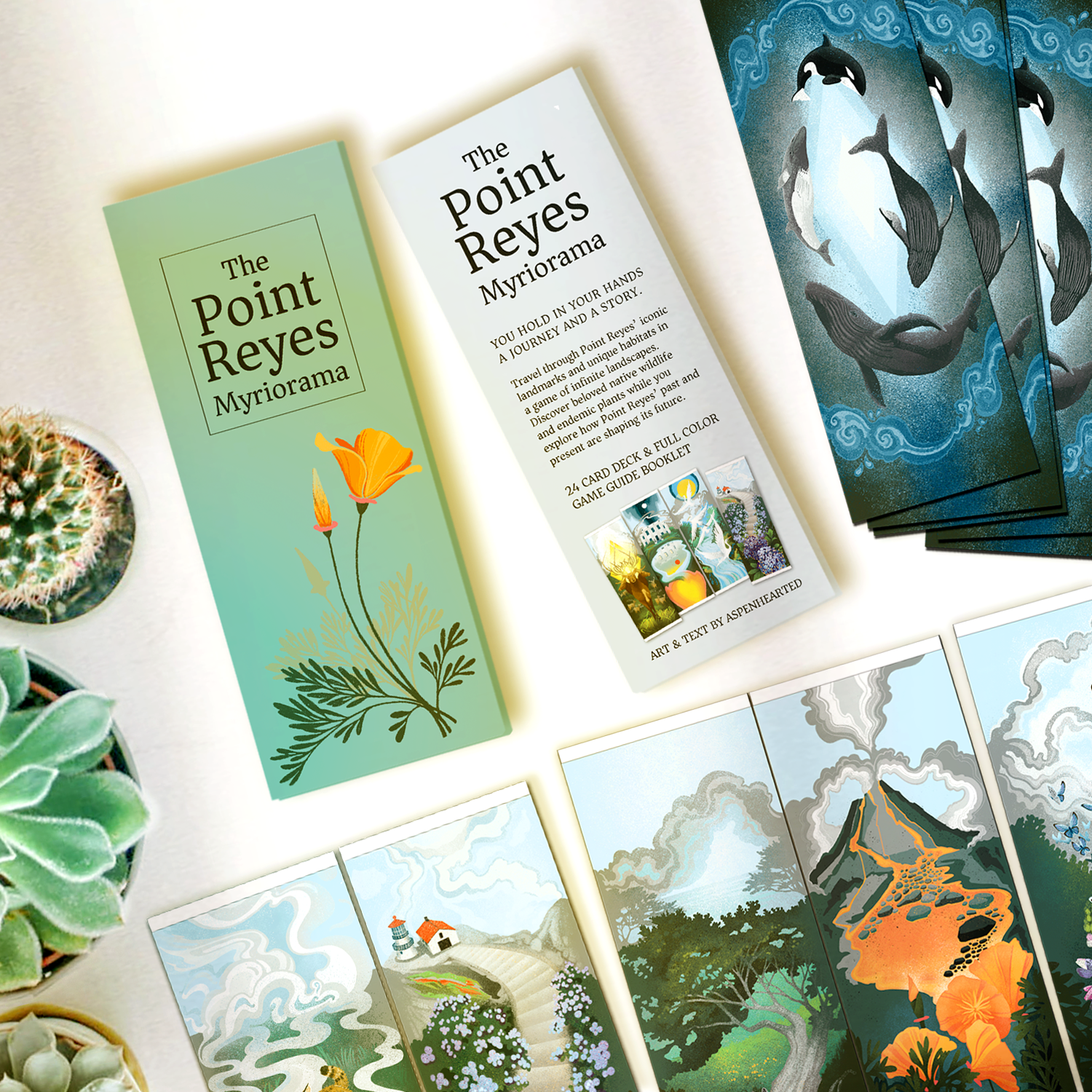 Point Reyes Library Card The Point Reyes Myriorama | 24-Card Illustrated Deck